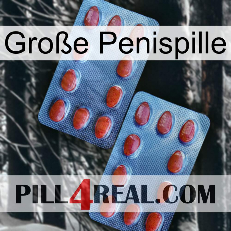 Große Penispille 05